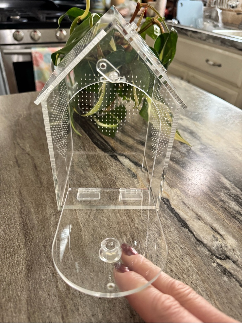 Clear Acrylic House-Shaped small pet enclosure - Picture 6 of 9